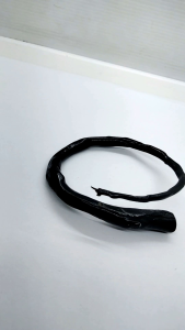 Gelang Akar Bahar Hitam Minimalis C81: Gaya Kasual & Desain Unik