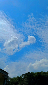 TIRAI BAMBU OUTDOOR BAMBU GULUNG ANTI AIR SATU SET RING BESI