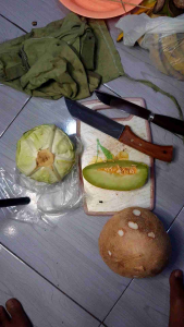 pisau dapur buah dan sayur okapi dan bar slendang