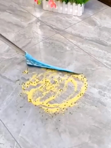 House Cleaning Magic Broom Dry & Wet/Penyapu Lantai