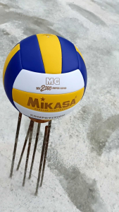 Bola Voli Mikasa - ProLiga Volleyball