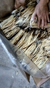 Ikan Asin Siting Belah Tawar Super / Jamrong Belah Tawar