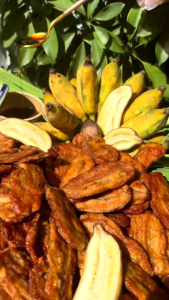 Chuối xiêm sấy mật ong 1kg ( 2 hộp 500g)