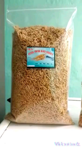 CETUL TERI CRISPY AIR TAWAR 50gr ENAK GURIH DAN BERGIZI