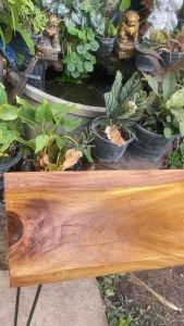 โต๊ะกลางยาว โต๊ะกลางแจ้ง โต๊ะกลางห้องนั่งเล่น โต๊ะกลางห้องสมุด โต๊ะกลางห้องประชุม