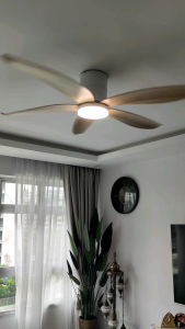 Fanco Rito 5 DC ceiling fan with/without WIFI remote