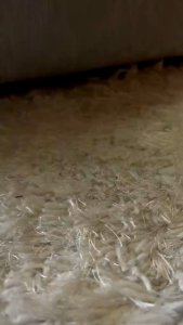 Sejadah Raudah/ Sejadah Gebu/ Hantaran Kahwin / Sejadah Esklusif/ Hadiah Harijadi