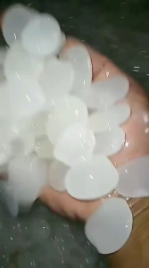 kolang kaling fresh cangakaleng 1kg