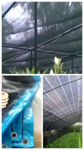 paranet 90% ukuran 3x5  3x6  3x7  3x8  3x9  3x10