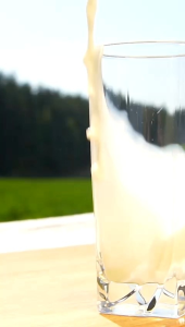 Susu kambing etawa go milku SR12 original herbal halal