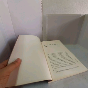 《问学札记：二十二位青年学术人的自述》许德发编 马来西亚青年学人随笔 散文 求学经历或求知感悟 作者 张锦忠 王国璋 卢日明 庄华兴 等22人 燧人氏出版 book