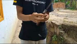 Perkakas pertanian dan peternakan /ARIT RUMPUT ASLI GARUT