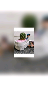 กระถาง​ต้นไม้​รูป​รถ​ตู้แนวมินิมอล