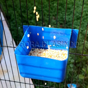 CEPUK SANGKAR UMBARAN WADAH PAKAN KOTAK (10Pcs)