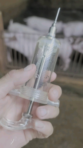 Xilanh ( bơm tiêm) 30ml ngắn dễ sử dụng không bị càng tay khi dùng sản phẩm dùng chăm sóc thú cưng