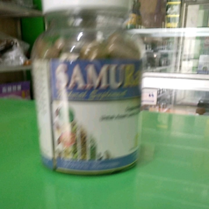 SAMURAID OBAT HERBAL ASAM URAT REMATIK DAN ENCOK OBAT ASAM URAT HERBAL