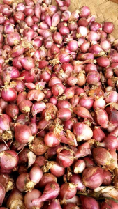 Bawang merah KECIL/MINI 500gr bawang merah ares asli dari petani garut