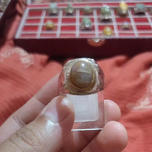 Cincin Akik Mewah Berkelas Dari Batu Fosil Tumbuh-Tumbuhan