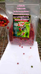 ผลไม้อัดเม็ด Party Organic ไซร์M ขนาด 700gวิตามินรวมเยอะกลิ่นหอม