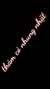 cỏ nhung nhật  thảm 1m2 để trang trí sân vườn