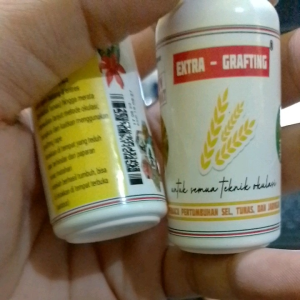 Obat Grafting & Okulasi: Panduan Lengkap