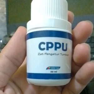 CPPU ZPT ZAT PENGATUR TUMBUH ORIGINAL
