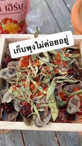 3ห่อ สมุนไพรนิต้าเฮิร์บ Nita herb นิต้า นิต้าเฮิร์บ