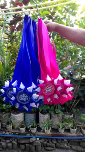 Graduation Garland for All Occasions