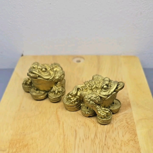 Cóc Thiềm Thừ mã 66