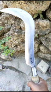 SABIT TEKOK PAROH ALAT SERBA GUNA  BERKEBUN BERLADANG SABIT MADURA TERLARIS SABIT BAJA