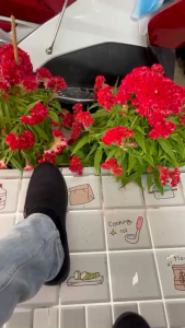 [FreeshipMAX] Giày lười vãi nam đế đen phom chuẩn đẹp size từ 38-43mã LV16.màu xám đen mẫu mới nhất hiện nay