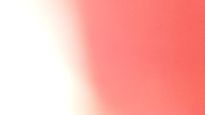 RAJAWALI mata gergaji bobok scroll saw