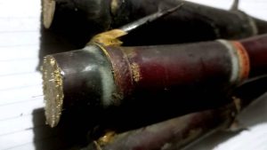 Tebu hitam tebu ireng bisa untuk bibit 1 kg