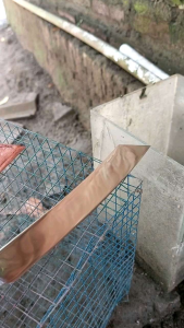 Pisau Baja Putih Baja HSS