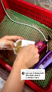 Khăn tắm chó mèo Clean Cham siêu thấm hút - Khăn hút nước siêu bền siêu thấm đa công dụng.