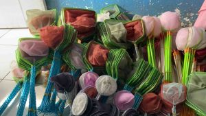 Serokan Kutu Air Artemia Bulat: Pilihan Tepat untuk Penangkaran