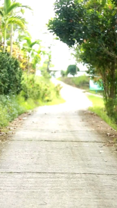 Setelan Jas Hujan Ponco + Celana Ponco Kelelawar Waterproof