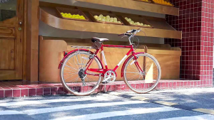 XE ĐẠP PHƯỢNG HOÀNG HẠNG SANG