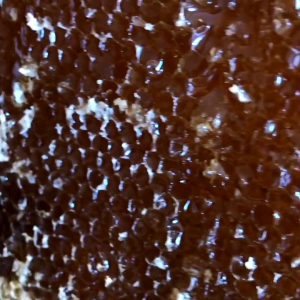 Sola Gratia Organics: Discover 100% Pure Organic Honey 100ml