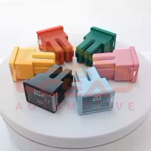 1PCS ORIGINAL BRAND NEW MAIN BIG FUSE 20A 30A 40A 50A 60A 80A CAR TRUCK LORRY ETC FIUS LITTLEFUSE