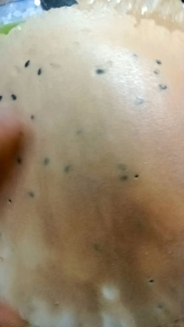 Bánh kẹp nước cốt dừa nhà nướng 250g