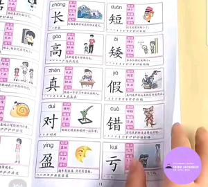 ชุดหนังสือคำศัพท์ภาษาจีน 3000 คำ คลอบคลุมตั้งแต่ระดับต้น-กลาง ชุด 4 เล่ม สีสันสวยงามน่าอ่าน