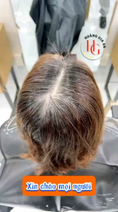 Thuốc nhuộm tóc thảo dược cao cấp Musk Mocheqi [ Chính Hãng ]