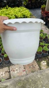 กระถางต้นไม้ กระถางปลูกต้นไม้ กระถางต้นไม้ใหญ่ (พลาสติกหนาพิเศษ) ขนาด 12 นิ้ว มีให้เลือก 3 สี ผ่านการรวมต้นไม้ไม่รวม