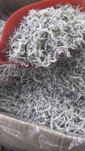 【Ready Stock】Ikan Bilis Nasi Susu 3A-brand 500g/1kg