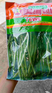 benih bibit buncis TEWE isi 500 gram Bintang Asia