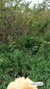 Amigurumi Amy Ready: Mainan Amigurumi Lucu Untuk Anak