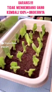 AGROPIN media tanam cocopeat agropin mengembang 6x bebas zat tanin kualitas standar export