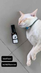 สเปรย์ปรับอากาศสำหรับแมวและคน กลิ่น cat bath โทนเปรี้ยวอมหวานแบบธรรมชาติจากดอกไม้เหมือนเข้า spa