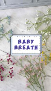 BABY BREATH BUNGA PALSU ARTIFICIAL FLOWER PEMANIS FILLER BUKET BUNGA DIY FLORIST HAND BOUQUET